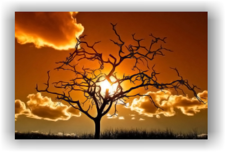 tablou natura - copac tablou natura - copac